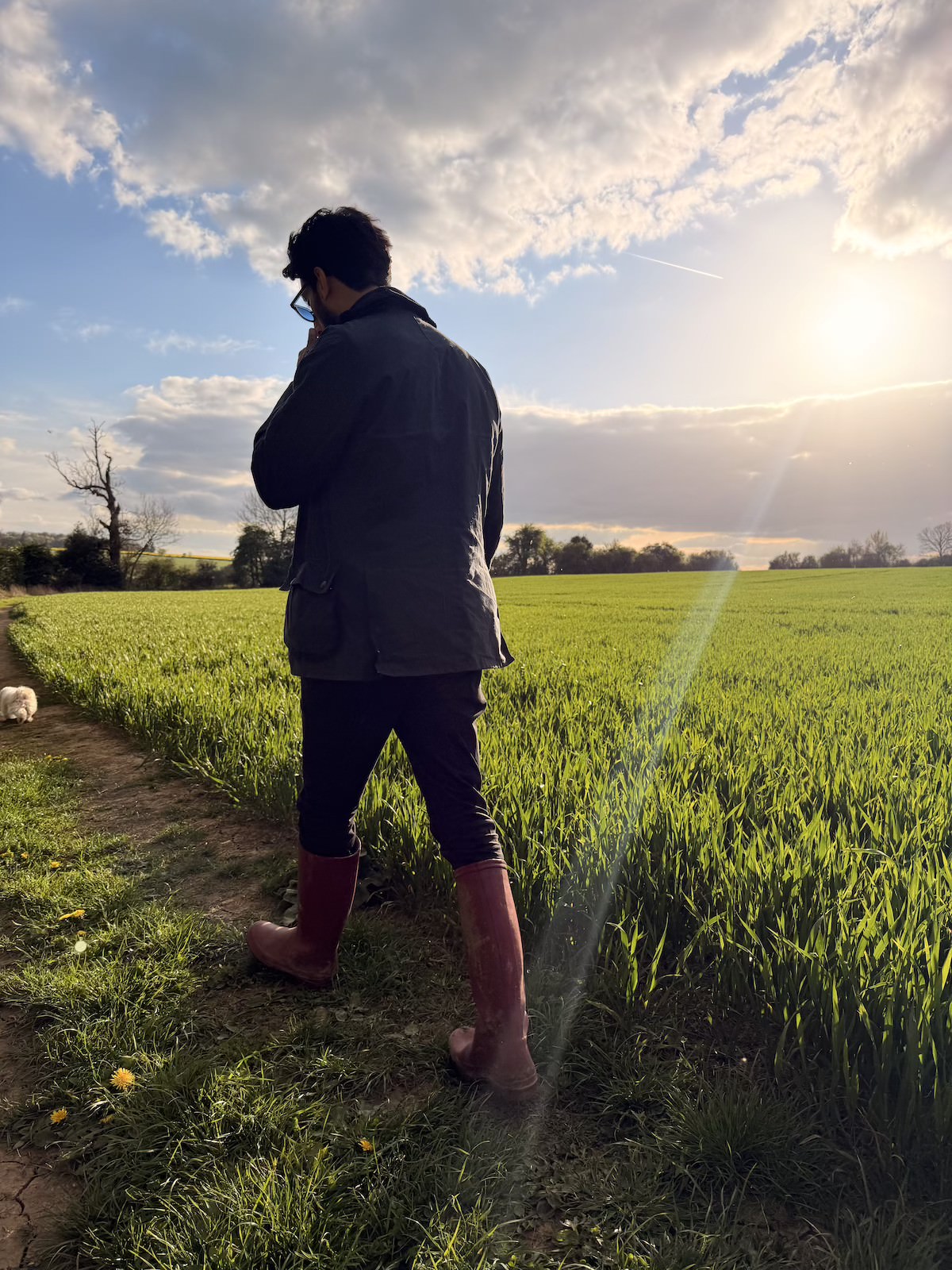 Shamil Mae, founder of Mae Cotswolds, walking beside a wheat field in the Cotswolds at golden hour